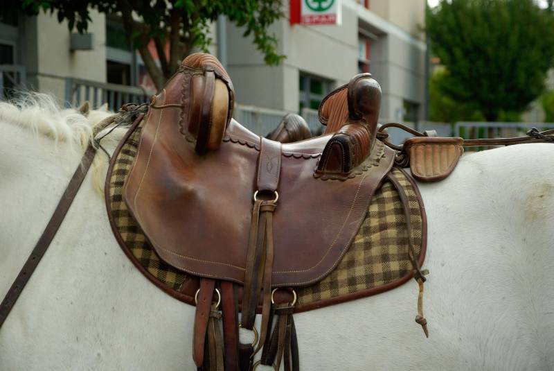 La selle Camarguaise, super assise