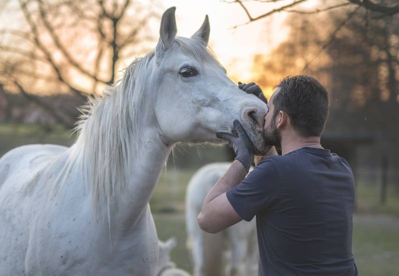 Une approche de l'équithérapie, notre formation Cheval Thérapeute, éthologie en Camargue