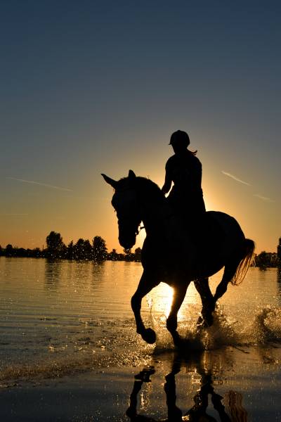 Galoper sur les plages de Camargue